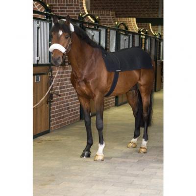 Back Warmer Royal 80X105 cm