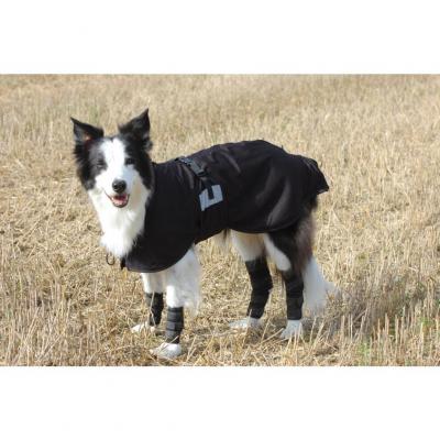 Protection pattes avant