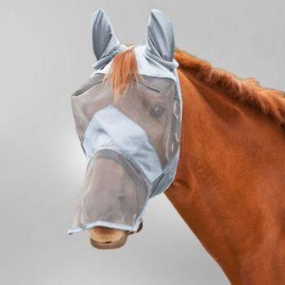 63149011 pon 31 400x400