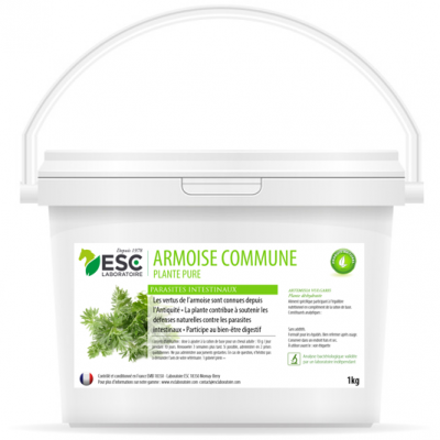 Armoise – Parasites intestinaux cheval – Plante pure
