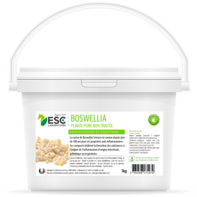 Boswellia Serrata – Plante pure – Inflammations articulaires et pulmonaires cheval