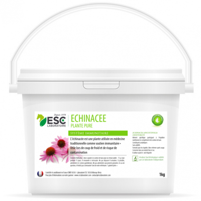 Echinacee – Défenses immunitaires cheval – Plante pure