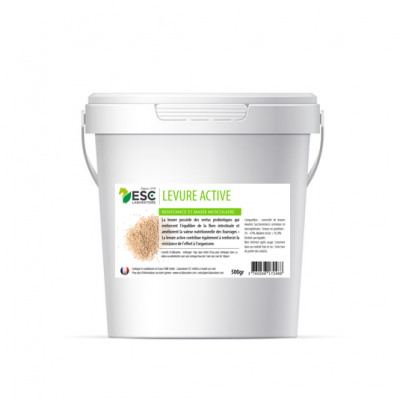 Levure active – Flore intestinale et digestion cheval