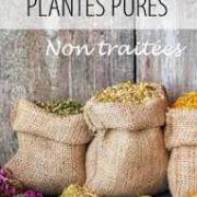 Plantes pures